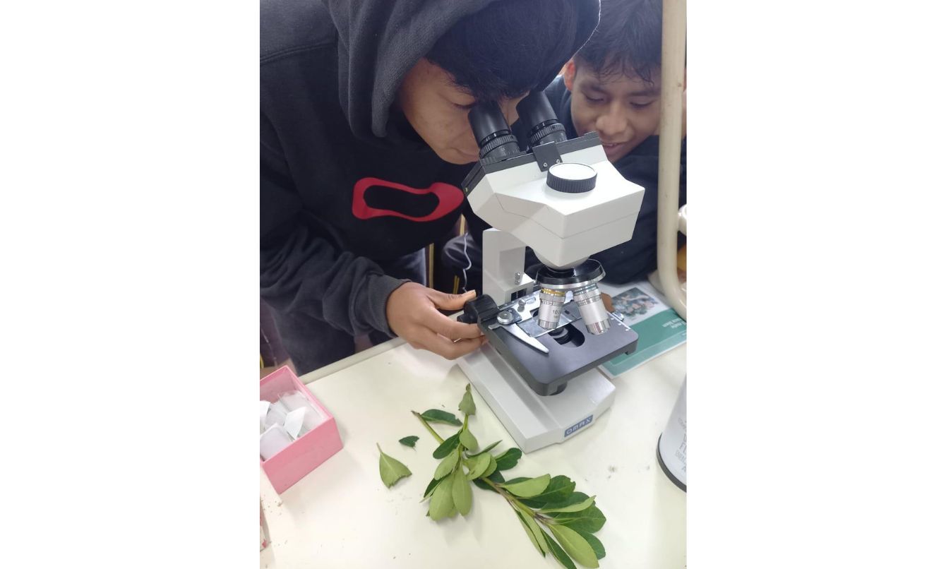 El Mate en la Escuela está generando múltiples y positivos resultados, señalan 3 El Mate en la Escuela está generando múltiples y positivos resultados, señalan imagen-2
