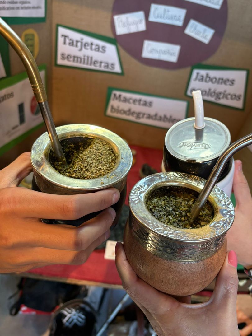 El Mate en la Escuela está generando múltiples y positivos resultados, señalan 7 El Mate en la Escuela está generando múltiples y positivos resultados, señalan imagen-6