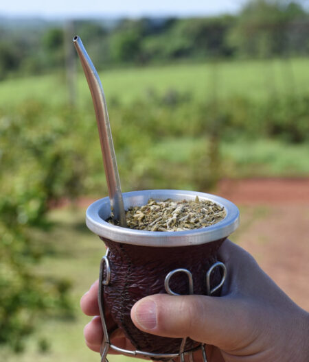 Las ventas de yerba mate crecieron un 15% entre enero y julio imagen-2