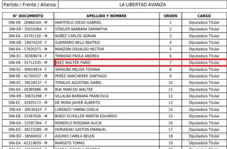 Elecciones 26-O: Apoderado de LLA Misiones reemplazaría a Hartfield en la Legislatura en caso de que el extenista sea electo Diputado Nacional imagen-1