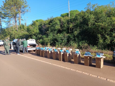 Gendarmería secuestró 80 kilos de cannabis y 10.500 paquetes de cigarrillos de contrabando en operativos sobre rutas de la provincia Gendarmería secuestró 80 kilos de cannabis y 10.500 paquetes de cigarrillos de contrabando en operativos sobre rutas de la provincia imagen-6