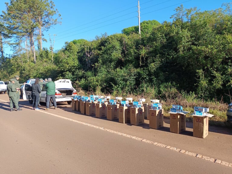 Gendarmería secuestró 80 kilos de cannabis y 10.500 paquetes de cigarrillos de contrabando en operativos sobre rutas de la provincia imagen-21