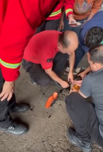Bomberos de la Policía de Misiones rescataron a un perro que quedó atrapado en un caño metálico en Posadas Bomberos de la Policía de Misiones rescataron a un perro que quedó atrapado en un caño metálico en Posadas imagen-1