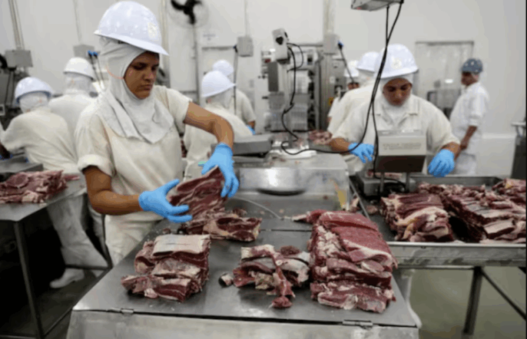 Crecen las importaciones de carne desde Brasil y ya están en su nivel más alto desde 2019 imagen-13