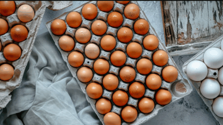 Consumo récord de huevos en Argentina: cuáles son sus beneficios para la salud y cuántos se pueden comer por semana imagen-8