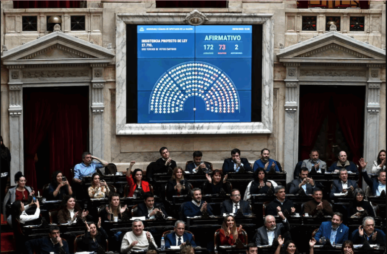 La oposición logró rechazar el veto de Milei a la ley de emergencia en discapacidad en Diputados La oposición logró rechazar el veto de Milei a la ley de emergencia en discapacidad en Diputados imagen-27