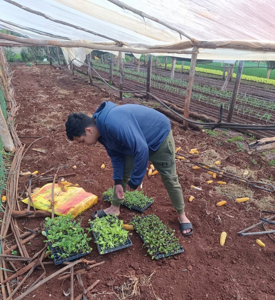 Arraigo rural: jóvenes que eligen vivir en la chacra recibieron insumos para seguir produciendo imagen-10