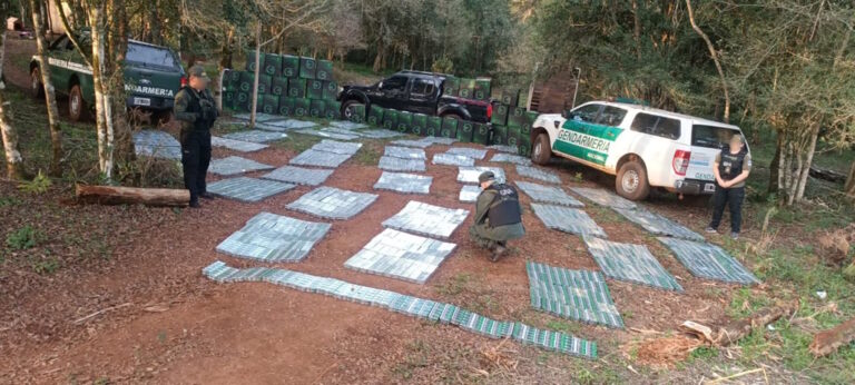 Incautan en la zona rural de Puerto Rico 19.900 paquetes de cigarrillos ingresados de contrabando imagen-39