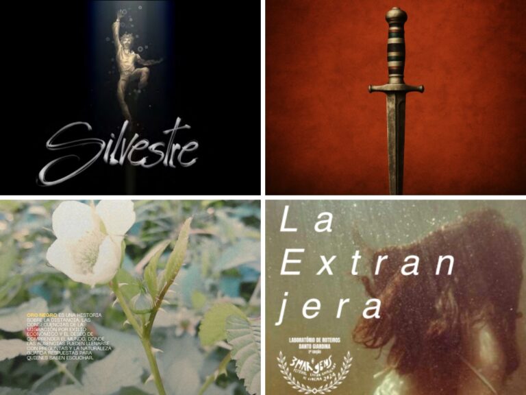 Proyectos ganadores de la Convocatoria Internacional Entre Fronteras 2025 Proyectos ganadores de la Convocatoria Internacional Entre Fronteras 2025 imagen-24