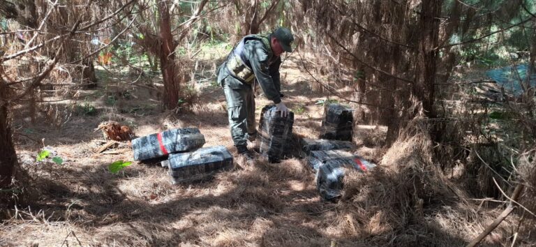 Divisado en la espesura del monte, secuestran media tonelada de marihuana en Puerto Libertad Divisado en la espesura del monte, secuestran media tonelada de marihuana en Puerto Libertad imagen-45