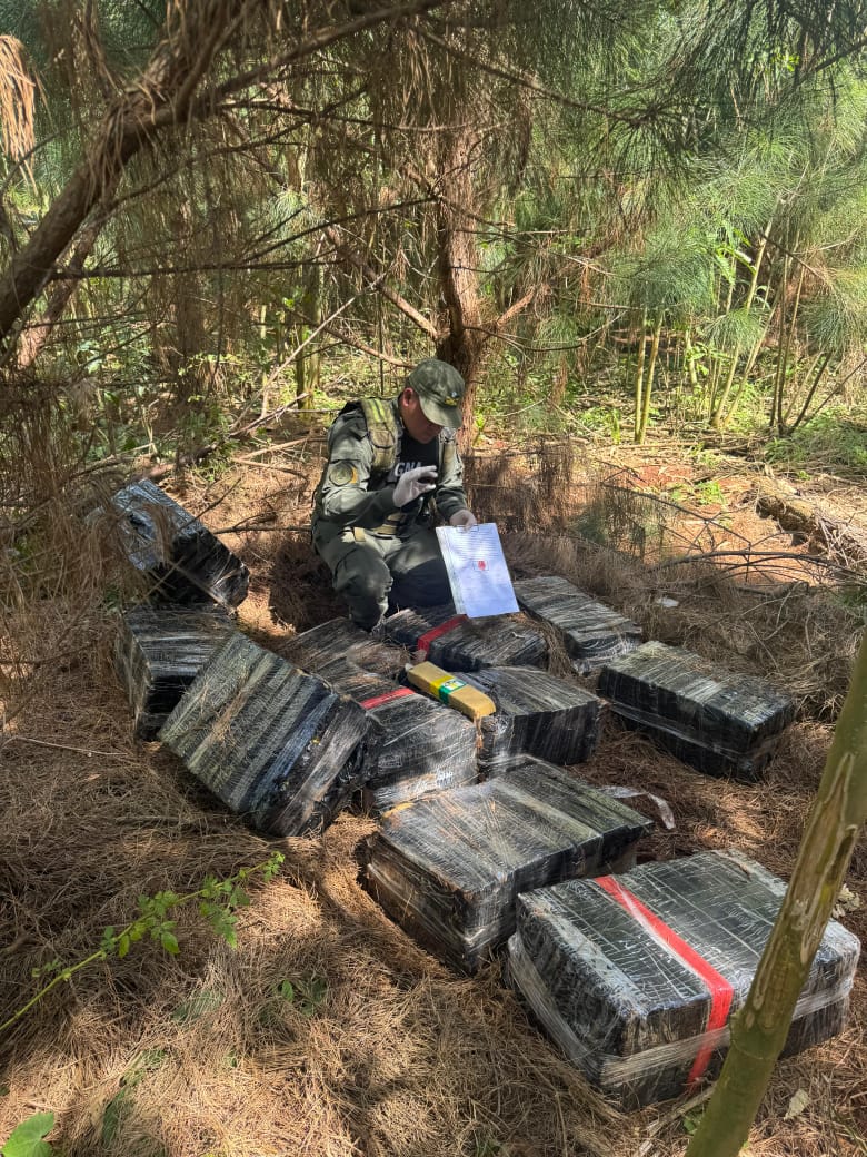 Divisado en la espesura del monte, secuestran media tonelada de marihuana en Puerto Libertad 5 Divisado en la espesura del monte, secuestran media tonelada de marihuana en Puerto Libertad imagen-4
