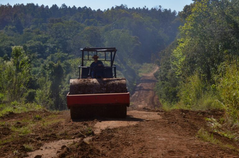 Vialidad de Misiones avanza con mantenimiento de rutas terradas en casi una decena de municipios para garantizar conectividad rural Vialidad de Misiones avanza con mantenimiento de rutas terradas en casi una decena de municipios para garantizar conectividad rural imagen-27