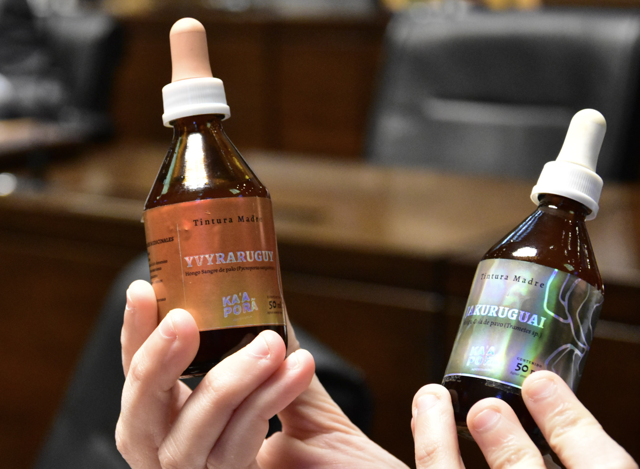 Legislatura: crean el Programa Provincial de Investigación y Desarrollo de Productos de Uso Medicinal de los Hongos y sus Derivados 7 Legislatura: crean el Programa Provincial de Investigación y Desarrollo de Productos de Uso Medicinal de los Hongos y sus Derivados imagen-6