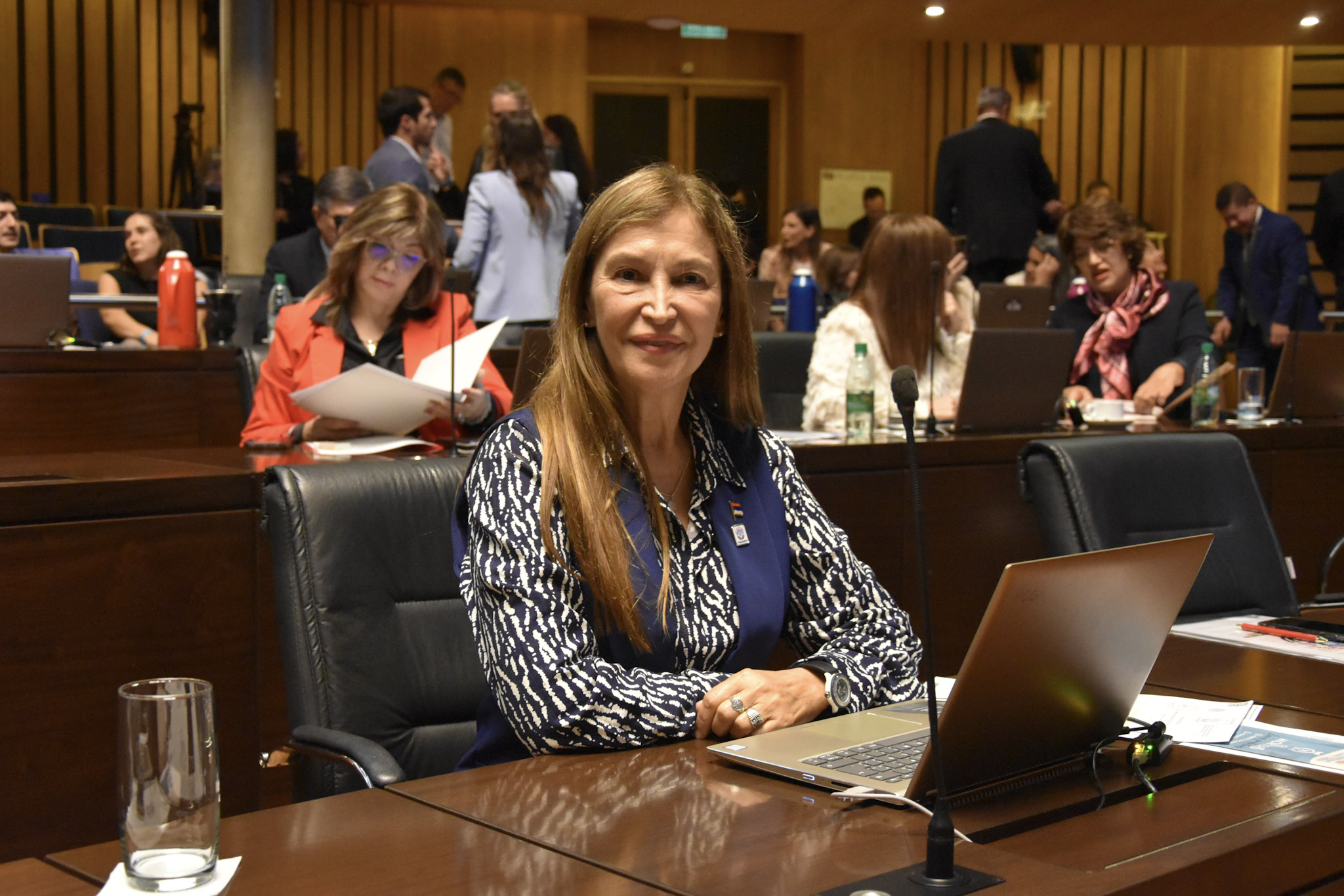 Legislatura: instituyen el Festival del Baile de Frontera, con sede permanente en el municipio de Alba Posse Legislatura: instituyen el Festival del Baile de Frontera, con sede permanente en el municipio de Alba Posse imagen-1