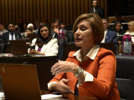 Adhesión de Misiones al RIGI: «Puede ser un incentivo adicional para generar valor sobre nuestra materia prima misionera”, destaca legisladora Adhesión de Misiones al RIGI: "Puede ser un incentivo adicional para generar valor sobre nuestra materia prima misionera”, destaca legisladora imagen-7