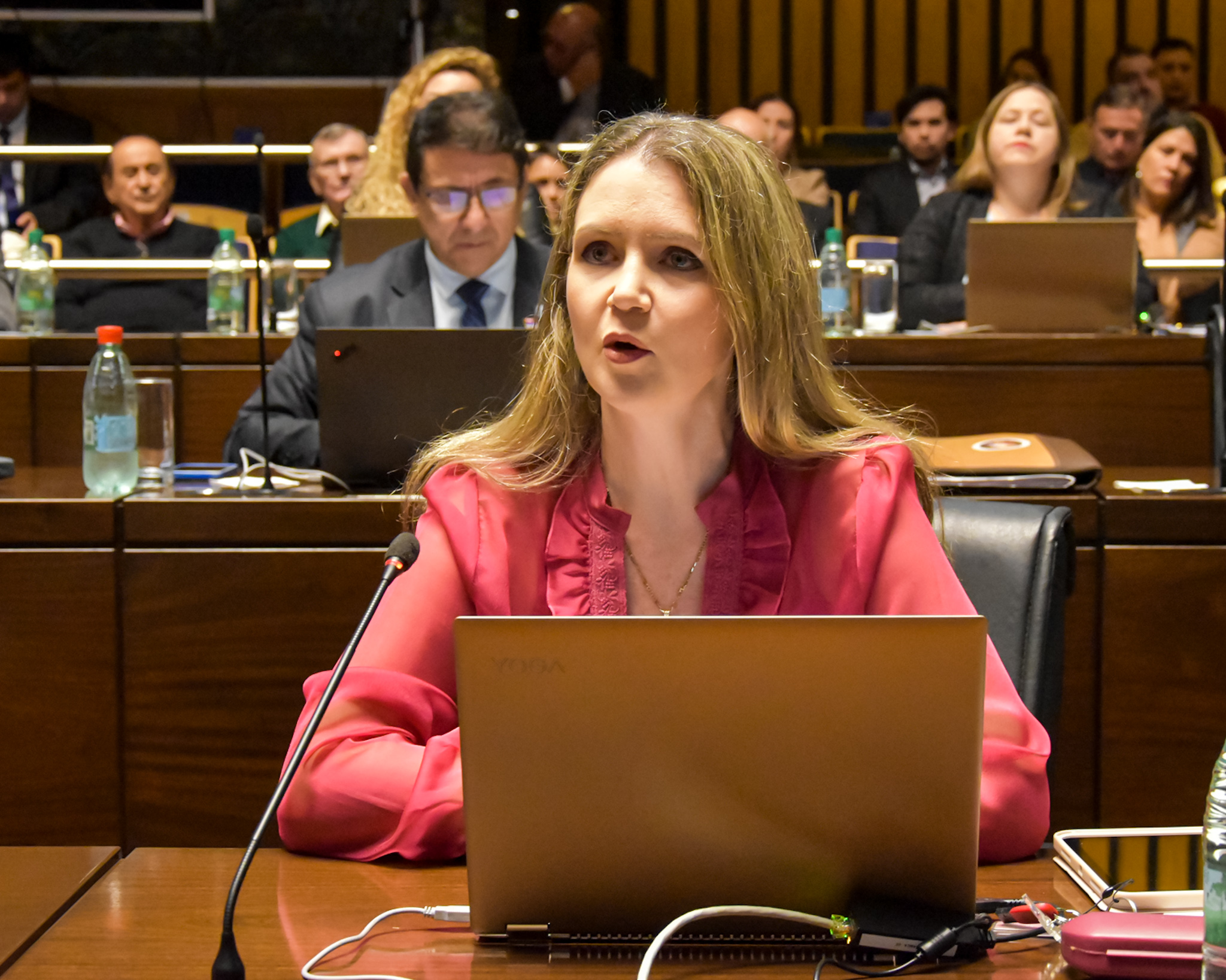 Legislatura instituye Semana Provincial de Concientización sobre las Dificultades Específicas del Aprendizaje 3 Legislatura instituye Semana Provincial de Concientización sobre las Dificultades Específicas del Aprendizaje imagen-2