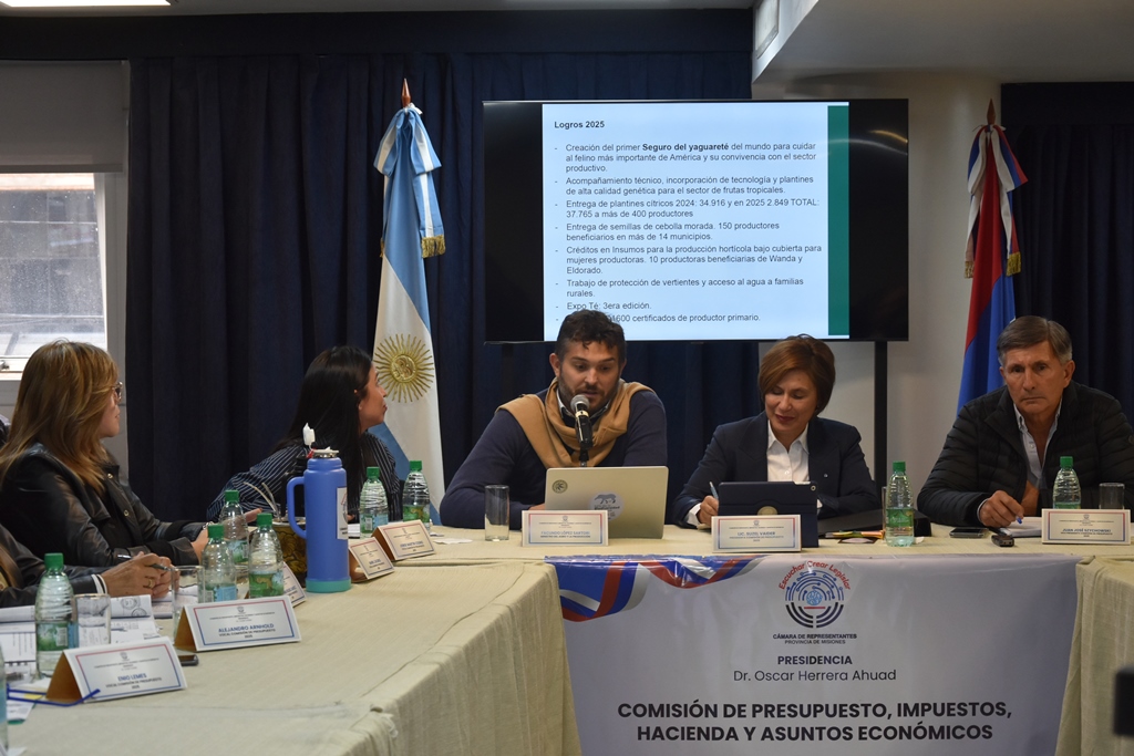 Legislatura: comenzaron las audiencias para el análisis del Presupuesto Provincial 2026 13 Legislatura: comenzaron las audiencias para el análisis del Presupuesto Provincial 2026 imagen-12