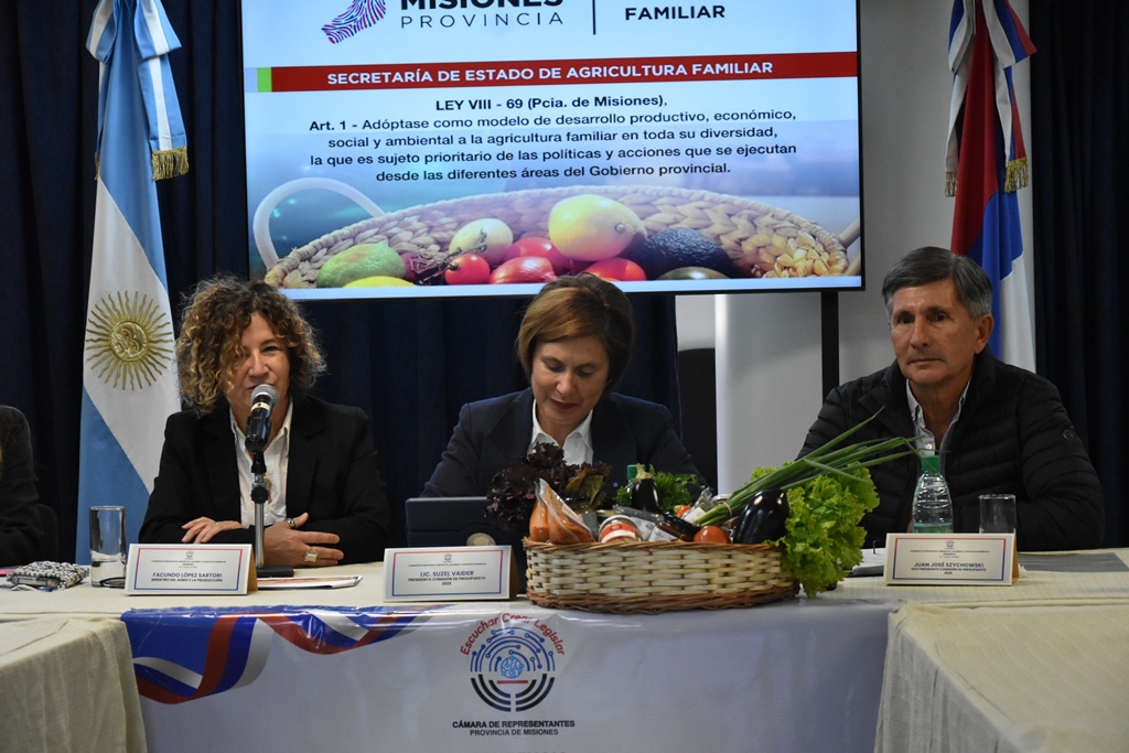 Legislatura: comenzaron las audiencias para el análisis del Presupuesto Provincial 2026 17 Legislatura: comenzaron las audiencias para el análisis del Presupuesto Provincial 2026 imagen-16