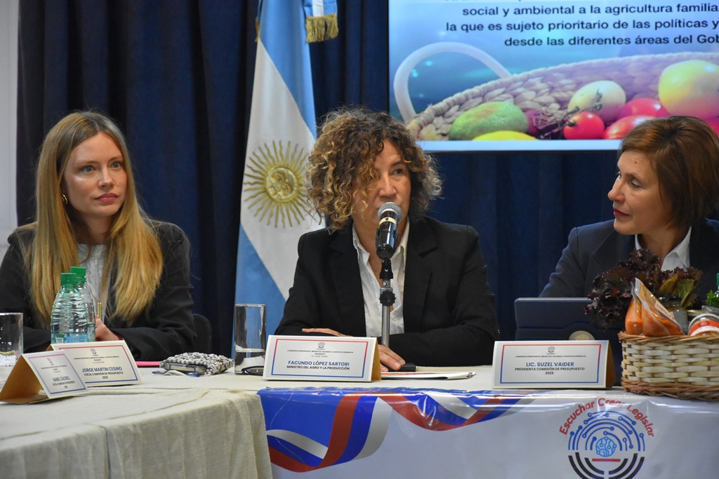 Legislatura: comenzaron las audiencias para el análisis del Presupuesto Provincial 2026 19 Legislatura: comenzaron las audiencias para el análisis del Presupuesto Provincial 2026 imagen-18