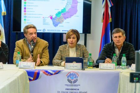 La Comisión de Presupuesto avanzó en el análisis del proyecto 2026 con las exposiciones de Salud Pública e IPS La Comisión de Presupuesto avanzó en el análisis del proyecto 2026 con las exposiciones de Salud Pública e IPS imagen-8