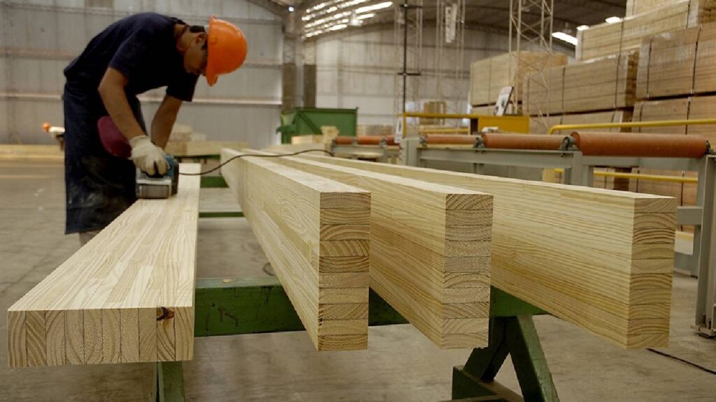 Corrientes: la Forestadora Tapebicuá anunció la paralización total de su producción por 30 días en Virasoro y suspende a 520 operarios 3 Corrientes: la Forestadora Tapebicuá anunció la paralización total de su producción por 30 días en Virasoro y suspende a 520 operarios imagen-2