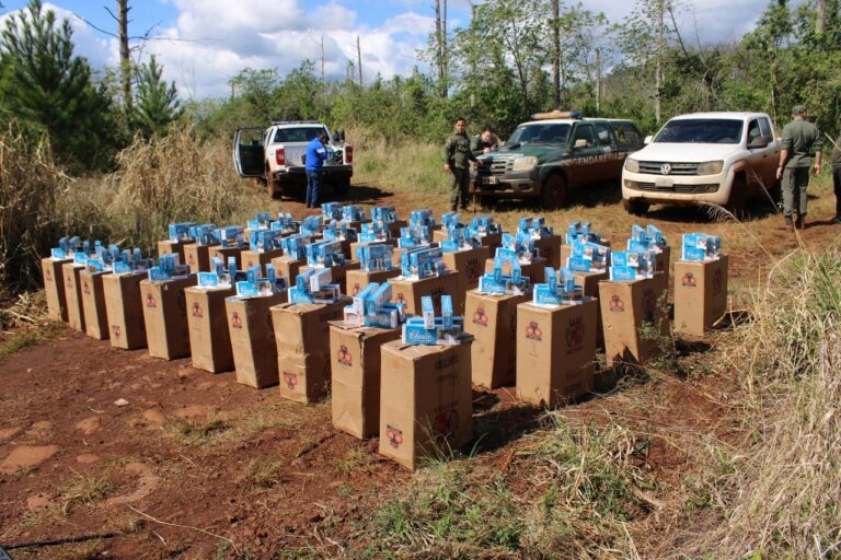 Camioneta robada y cargada con 20.000 paquetes de cigarrillos embistió control de Gendarmería y fue secuestrada imagen-47
