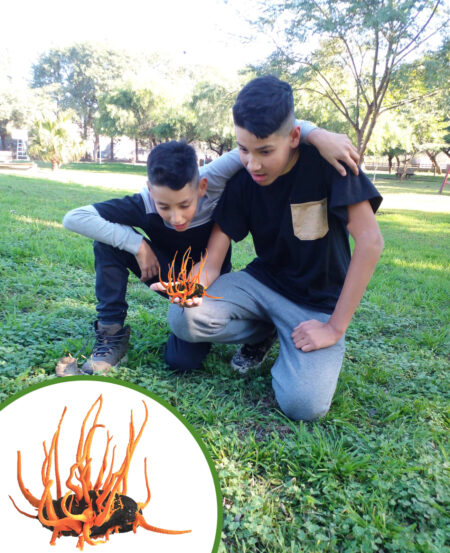 «No como en las películas, pero los zombis sí existen» "No como en las películas, pero los zombis sí existen" imagen-9