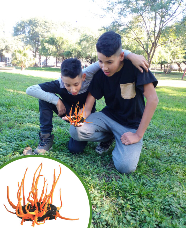 "No como en las películas, pero los zombis sí existen" imagen-42