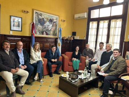 Nuevas medidas de incentivo fiscal para empresas y comercios de Misiones: "respuesta al difícil contexto económico actual", observa Safrán imagen-8