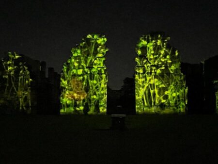 Espectáculo de Imagen y Sonido vuelve a sus días habituales en San Ignacio Miní imagen-9