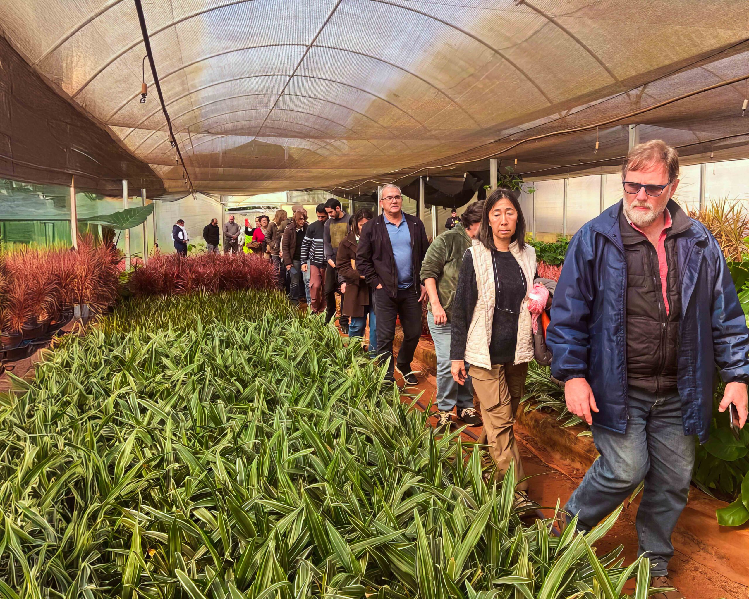 Nació MisioFlor, la primera cooperativa florícola de la provincia imagen-6