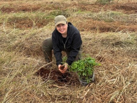 Suman 10 mil nuevos árboles nativos a la Selva Misionera Suman 10 mil nuevos árboles nativos a la Selva Misionera imagen-10