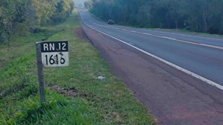 Un ocelote fue atropellado en la Ruta Nacional Nº12 imagen-6