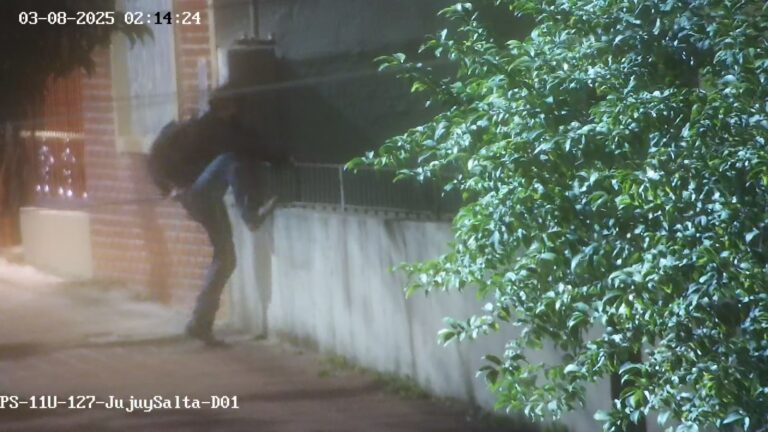 Intentó entrar a una casa en la madrugada y fue captado por las cámaras: terminó detenido en Posadas imagen-23
