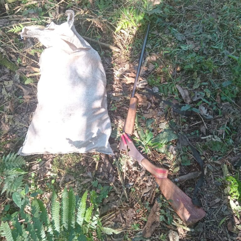 Guardafaunas destruyen puesto de caza ilegal dentro de la Reserva Privada Suiriri imagen-34