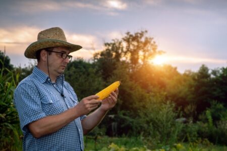 En Misiones unos 500 ingenieros agrónomos celebran este 6 de agosto su día imagen-9