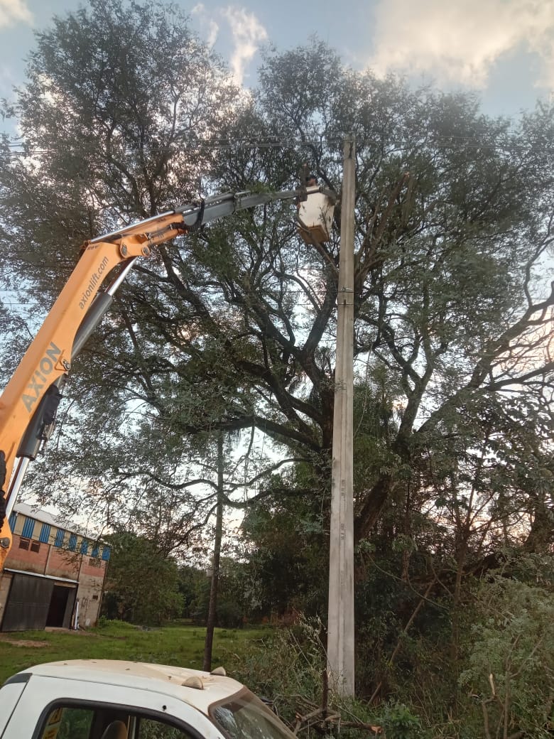 Mantenimiento y despeje de líneas en cuatro barrios de Candelaria 3 Mantenimiento y despeje de líneas en cuatro barrios de Candelaria imagen-2