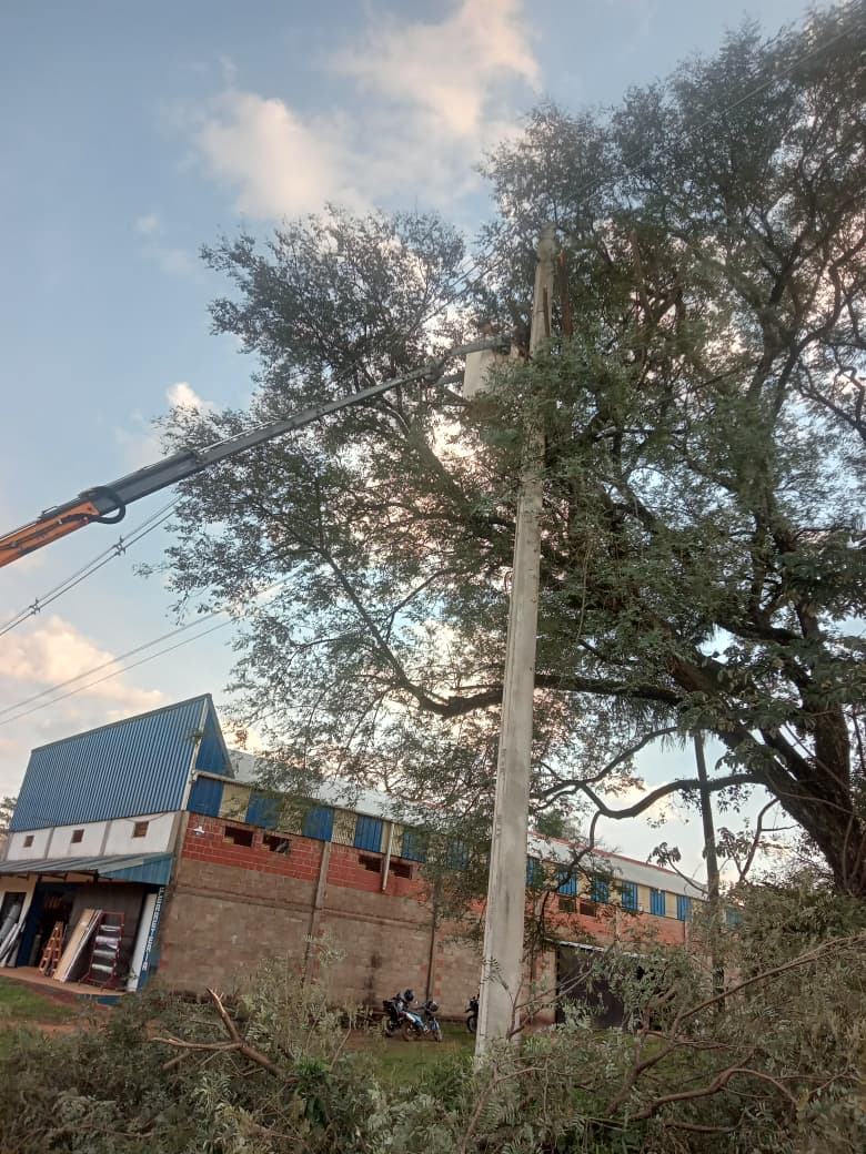 Mantenimiento y despeje de líneas en cuatro barrios de Candelaria 5 Mantenimiento y despeje de líneas en cuatro barrios de Candelaria imagen-4