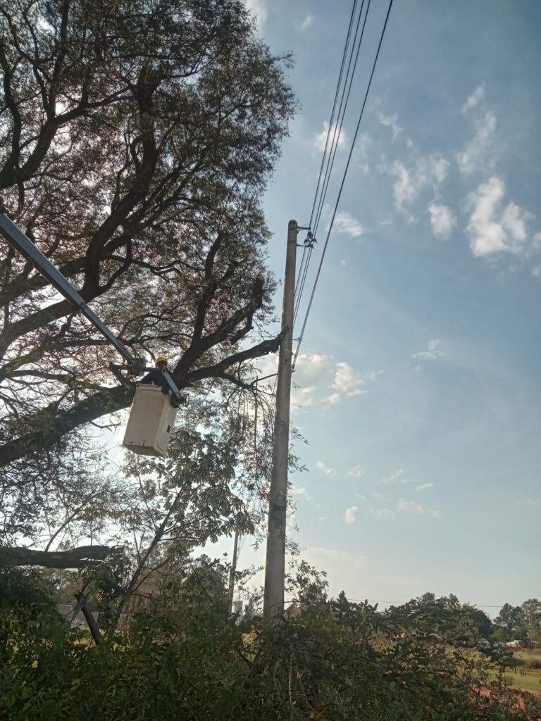 Mantenimiento y despeje de líneas en cuatro barrios de Candelaria imagen-20