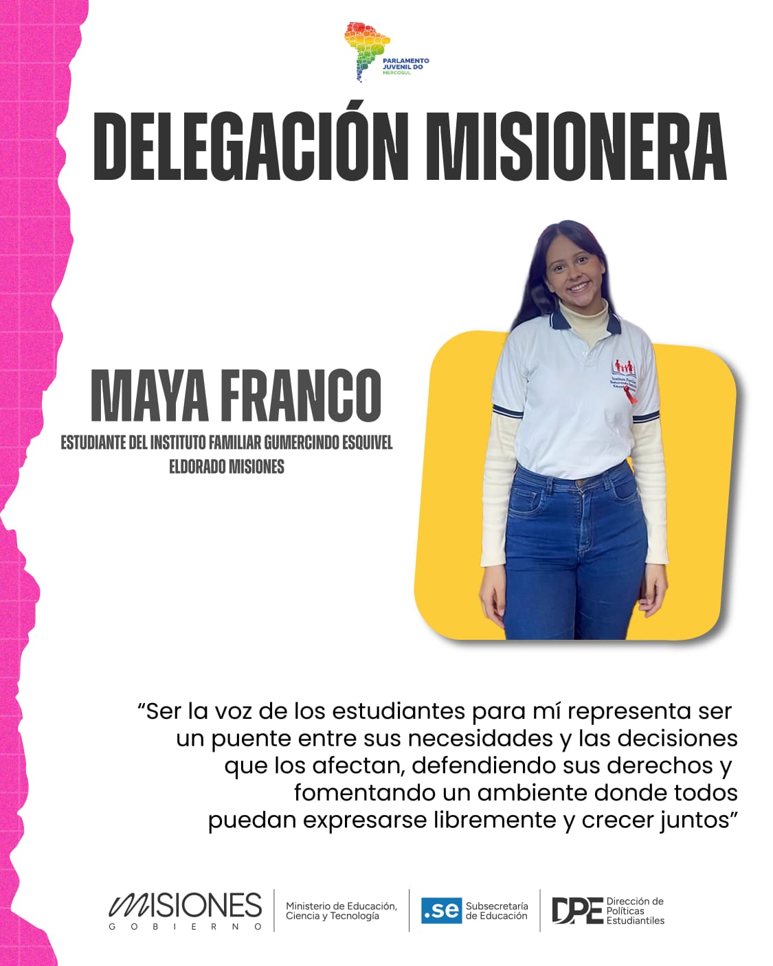 Misiones presenta a su delegación para la Instancia Internacional del Parlamento Juvenil del Mercosur imagen-2