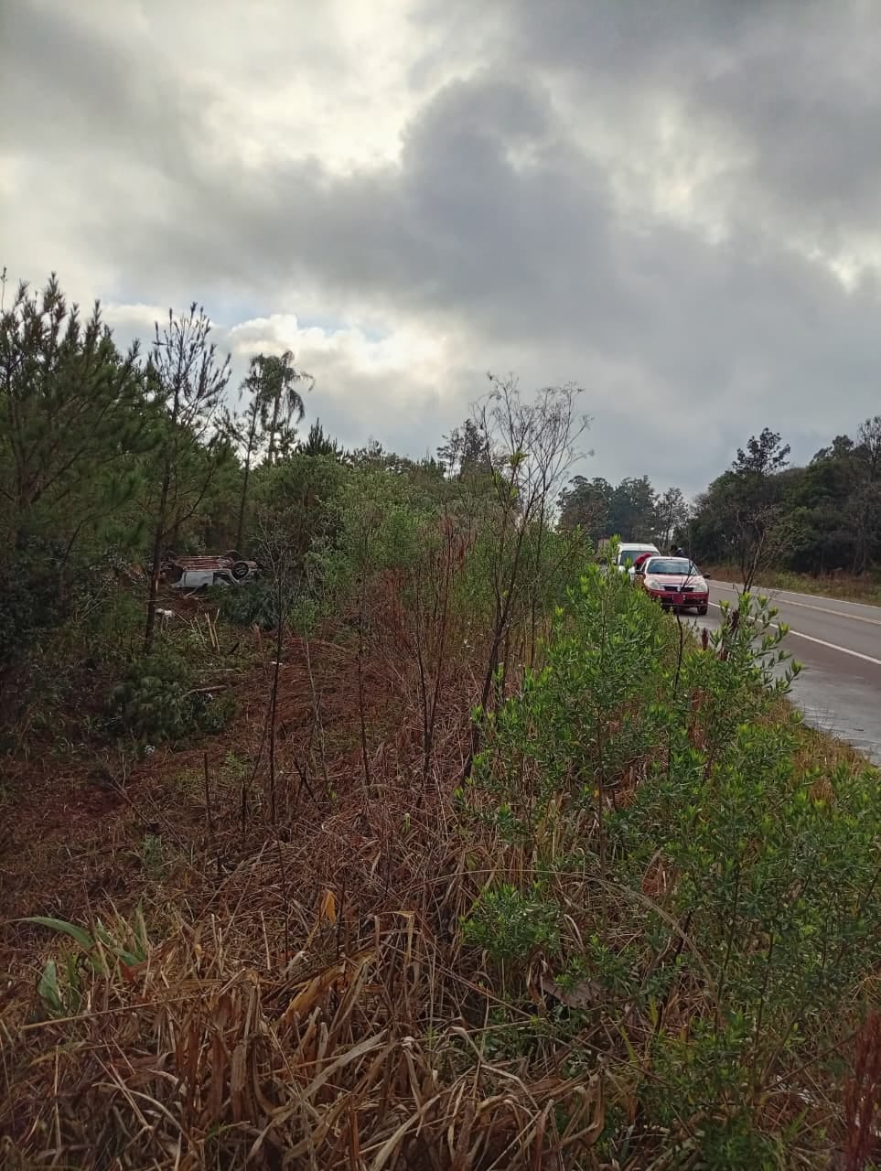 Automóvil cayó a un barranco en la ruta 14, su conductor terminó con lesiones 3 Automóvil cayó a un barranco en la ruta 14, su conductor terminó con lesiones imagen-2