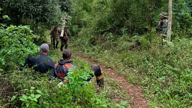 Guardaparques sorprendieron a dos cazadores furtivos brasileños en la Reserva de Biósfera Yabotí imagen-9