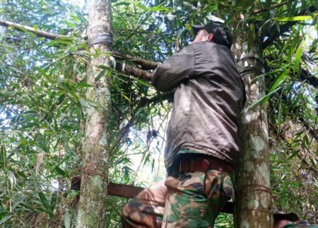 Destruyen elementos de caza furtiva en patrullajes para prevenir delitos ambientales imagen-3