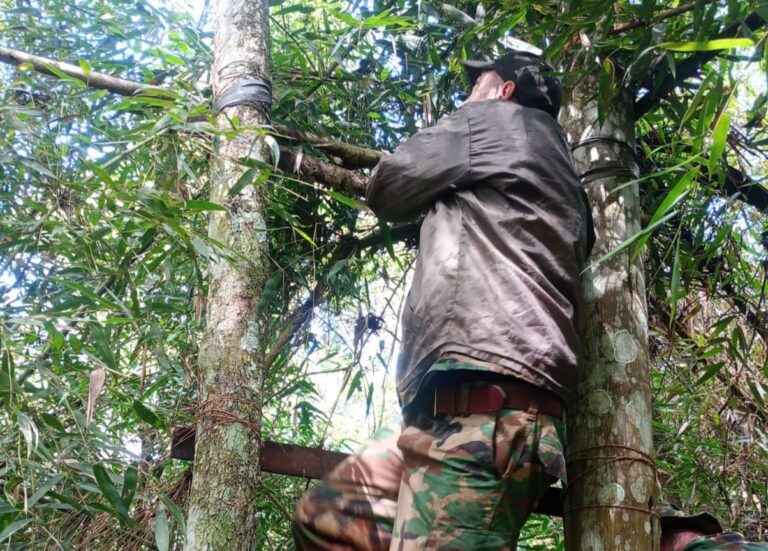 Destruyen elementos de caza furtiva en patrullajes para prevenir delitos ambientales imagen-33