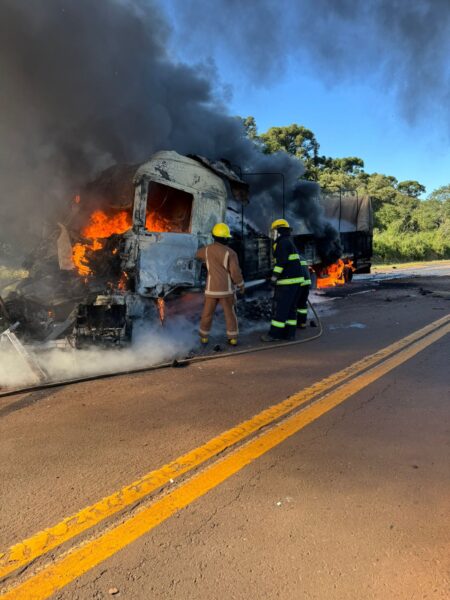 Puerto Esperanza: un camión que transportaba alimentos despistó, chocó contra otro que llevaba una carga de pinos en la ruta 12 y luego se incendió Puerto Esperanza: un camión que transportaba alimentos despistó, chocó contra otro que llevaba una carga de pinos en la ruta 12 y luego se incendió imagen-8