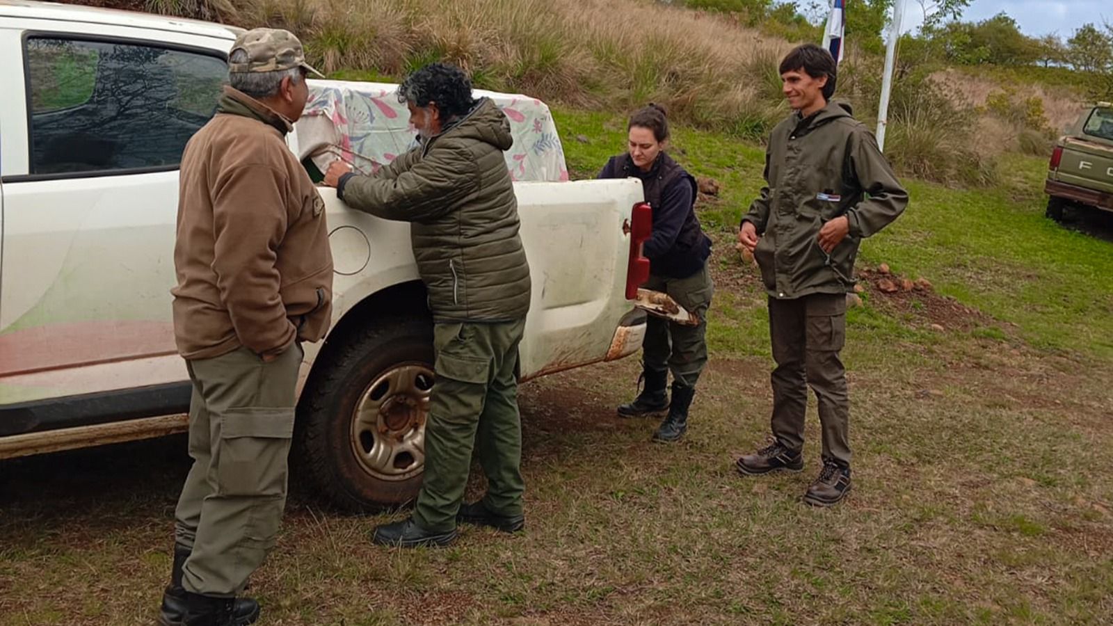 Liberaron a un venado pardo rehabilitado en el Parque Ecológico El Puma imagen-4