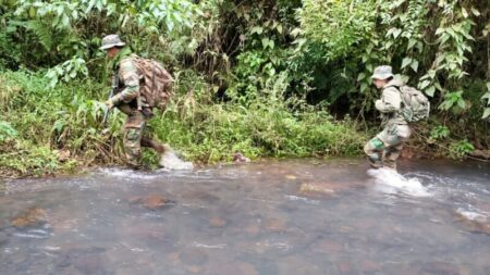 Operativo de alta complejidad en la Reserva de Biosfera Yabotí: secuestran armas, vehículos y desmantelan campamentos de cazadores furtivos imagen-8
