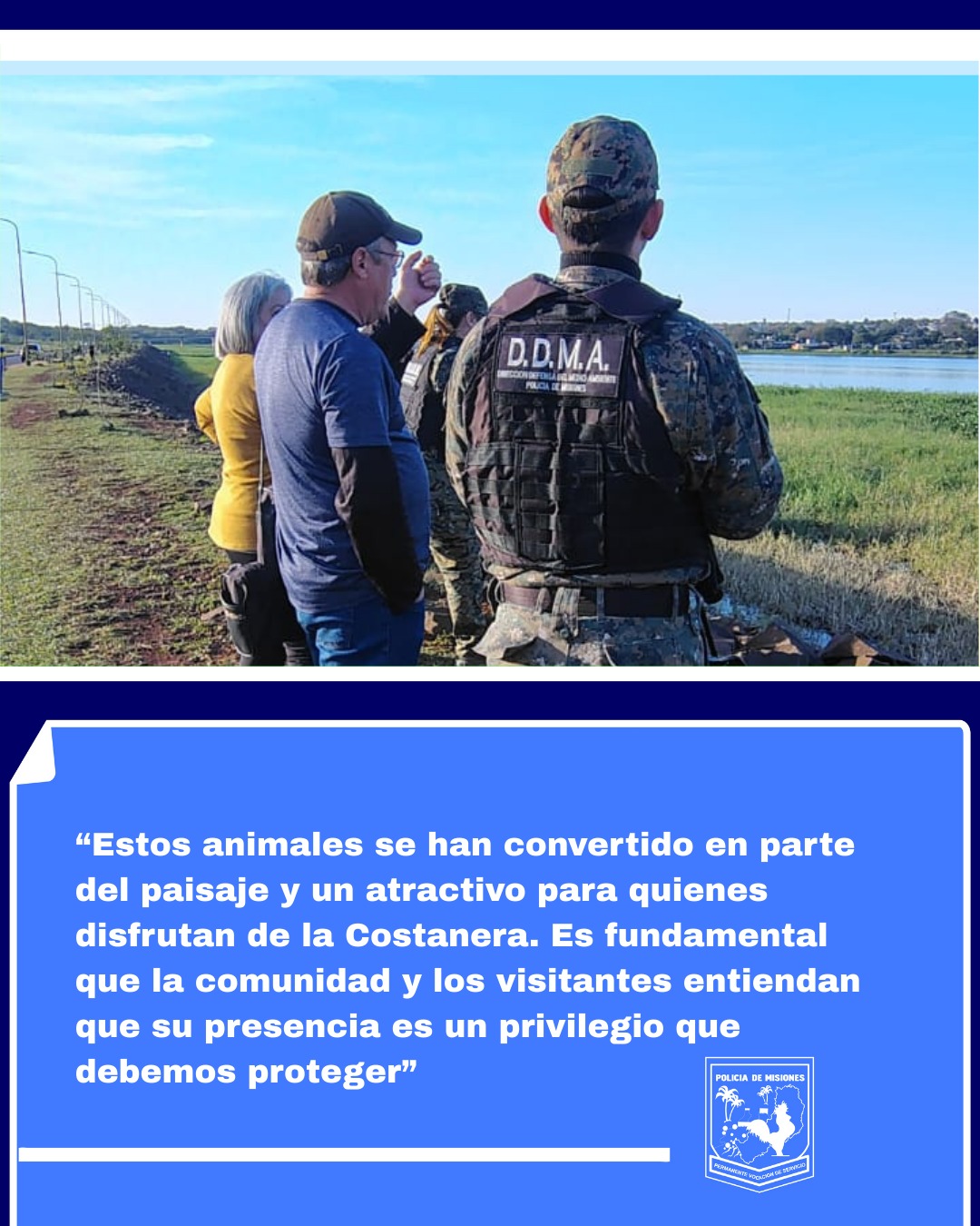 Carpinchos en la Costanera de Posadas: atractivo turístico y llamado al cuidado ambiental 5 Carpinchos en la Costanera de Posadas: atractivo turístico y llamado al cuidado ambiental imagen-4