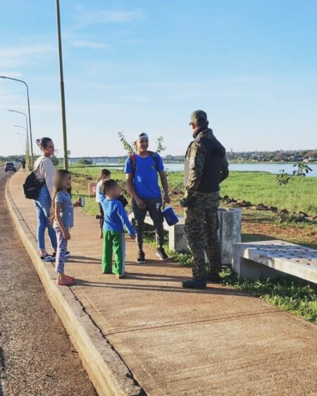 Carpinchos en la Costanera de Posadas: atractivo turístico y llamado al cuidado ambiental imagen-2