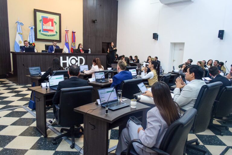 Concejo Deliberante posadeño impulsa el Banco de Horas para fortalecer a los emprendedores locales imagen-8